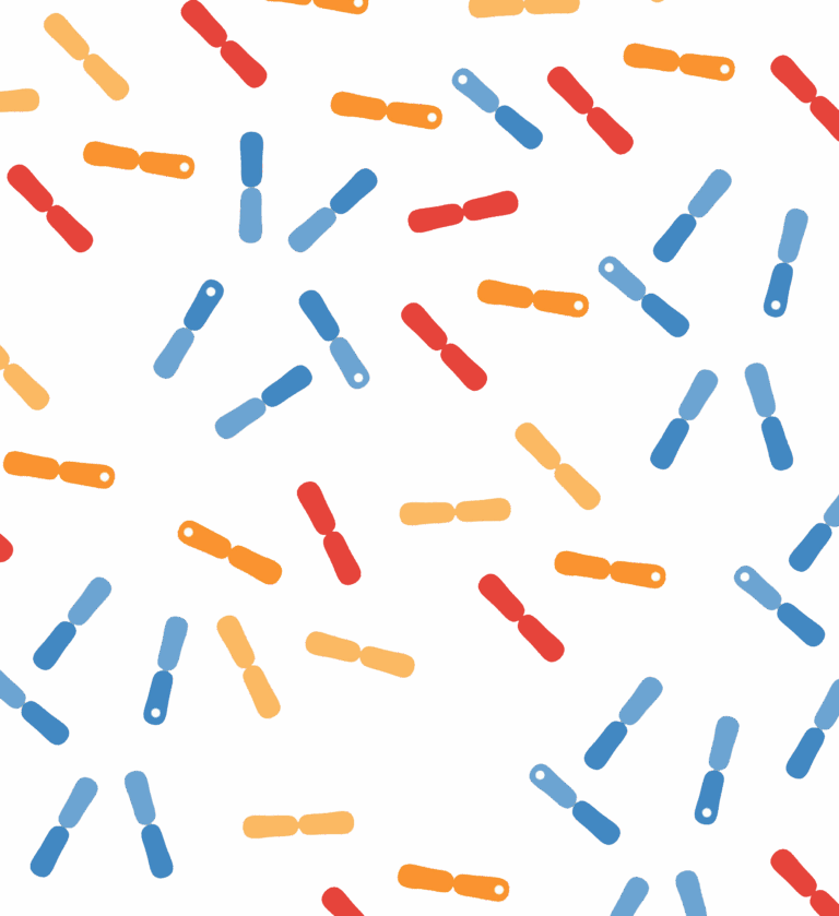 Anemia, żelazo i jelita